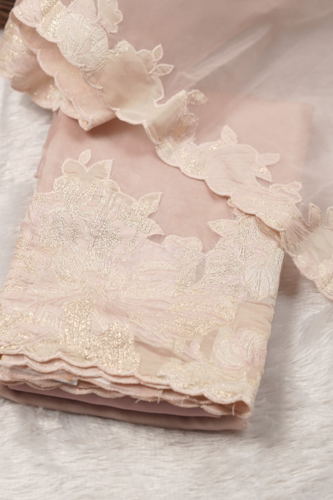 Organza Salwar TSS5790