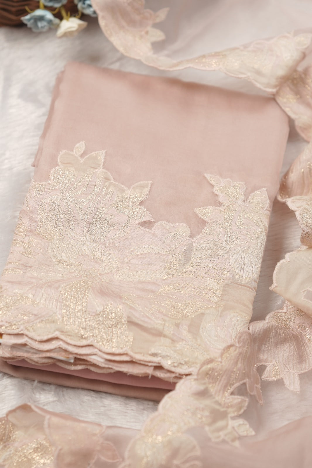 Organza Salwar TSS5790