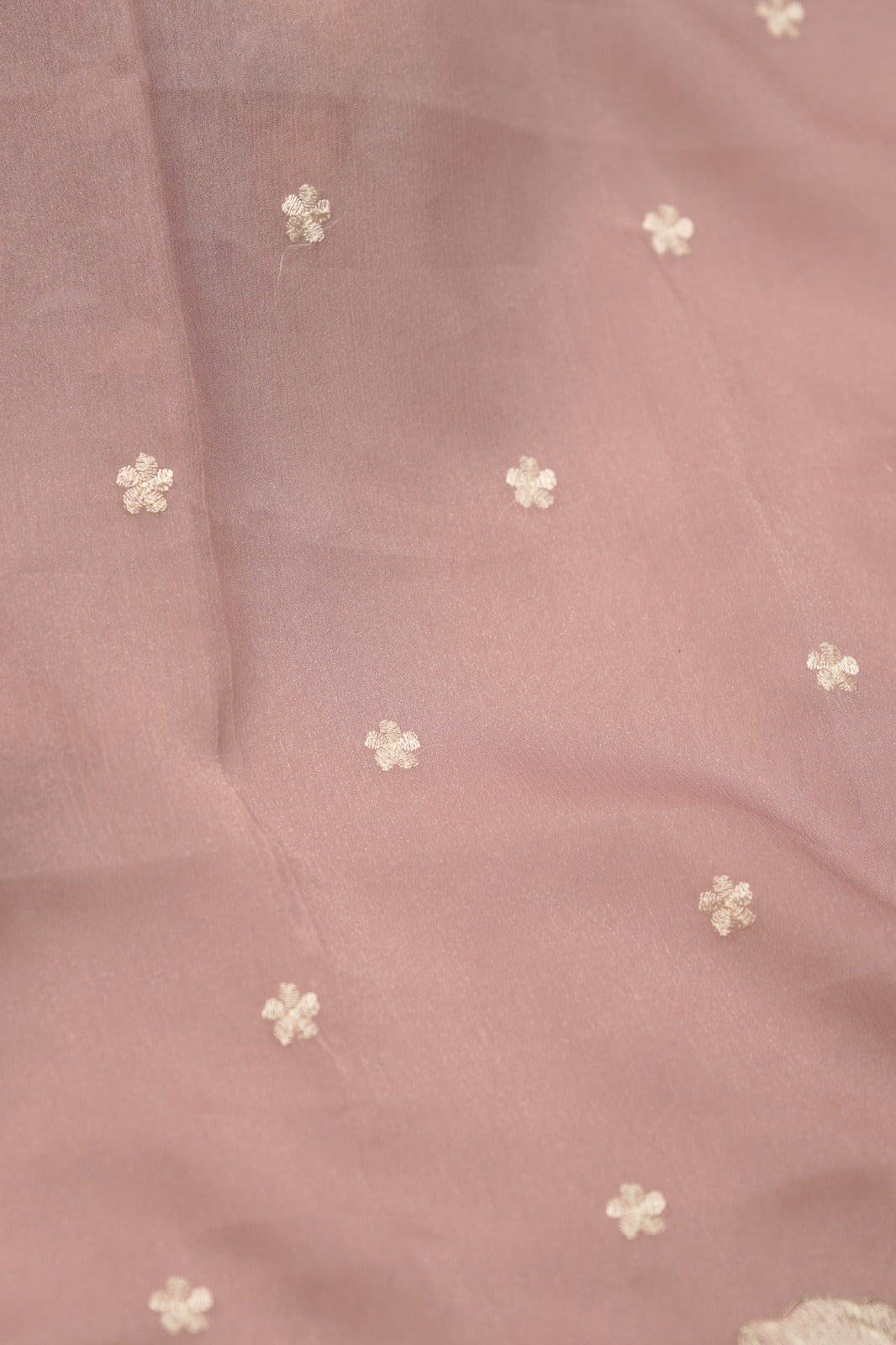 Crushed Organza Salwar TSS01463