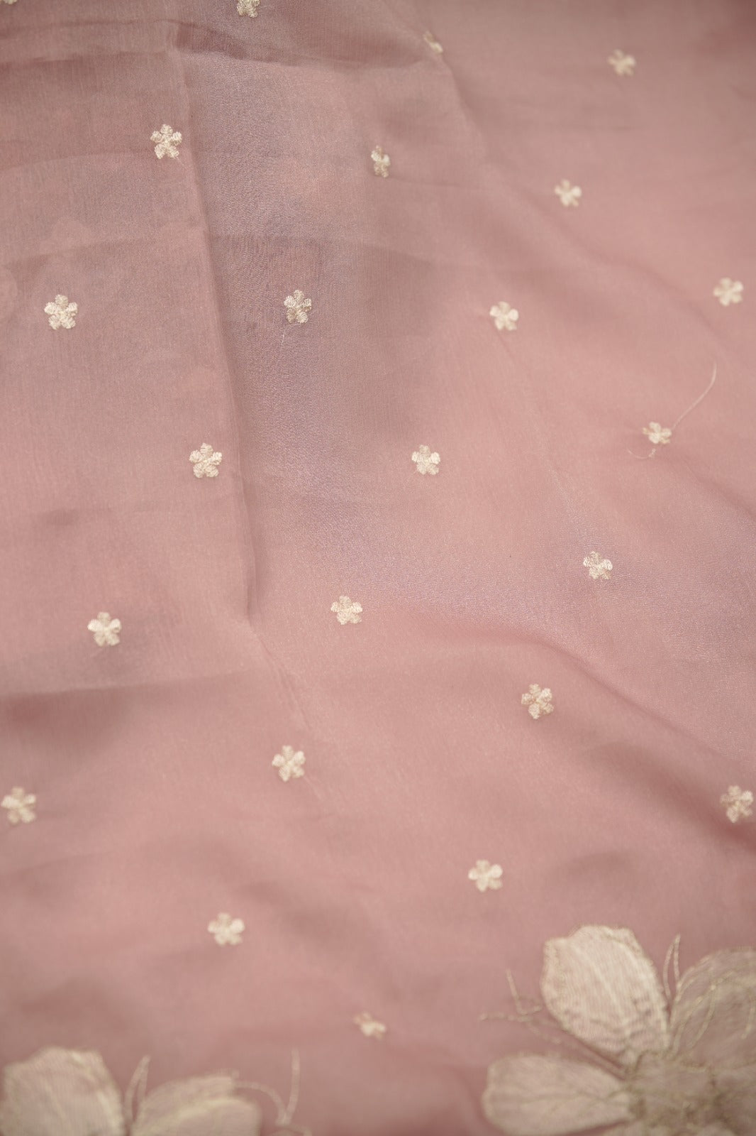 Crushed Organza Salwar TSS01463
