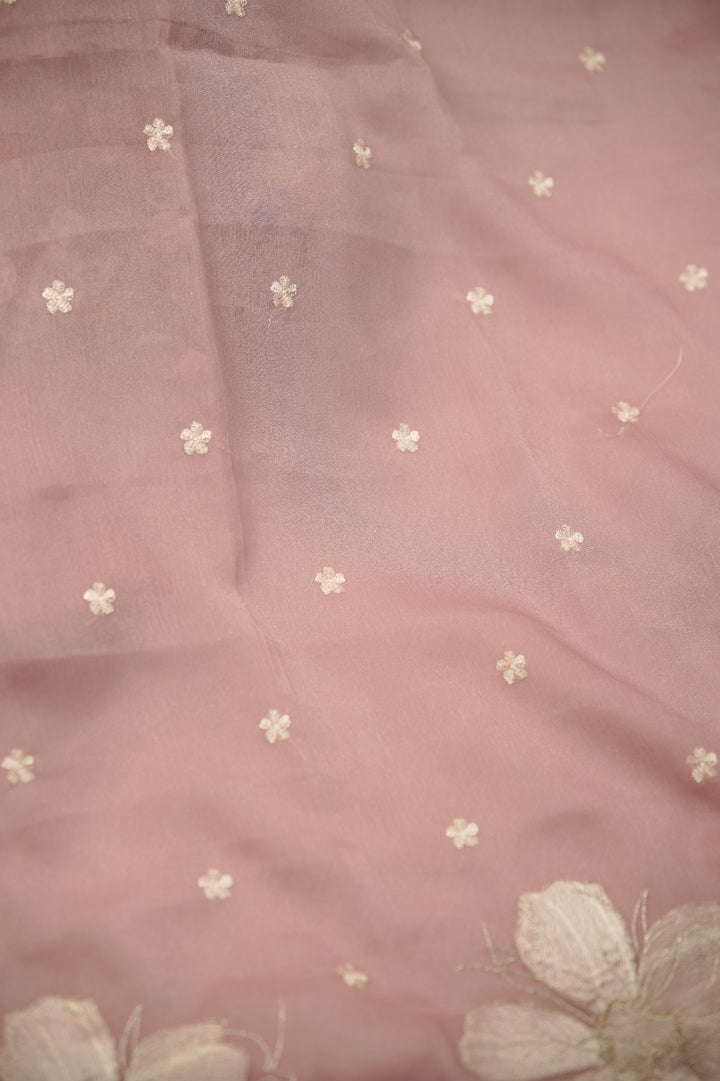 Crushed Organza Salwar TSS01463
