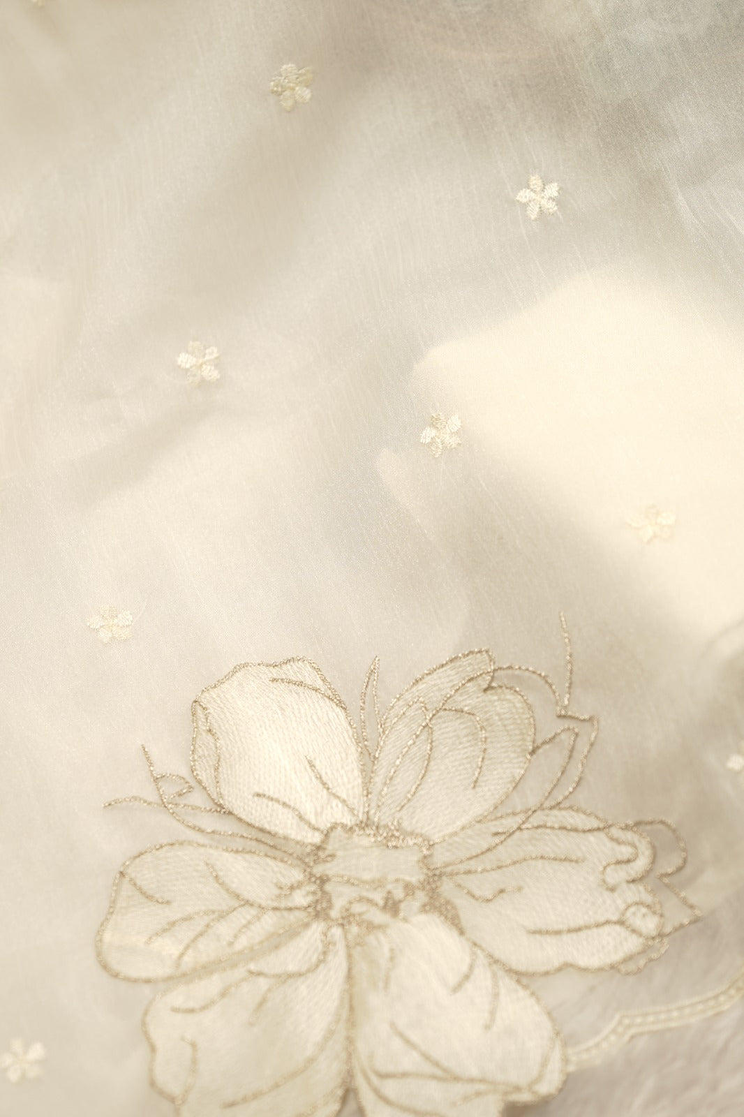 Crushed Organza Salwar TSS01156