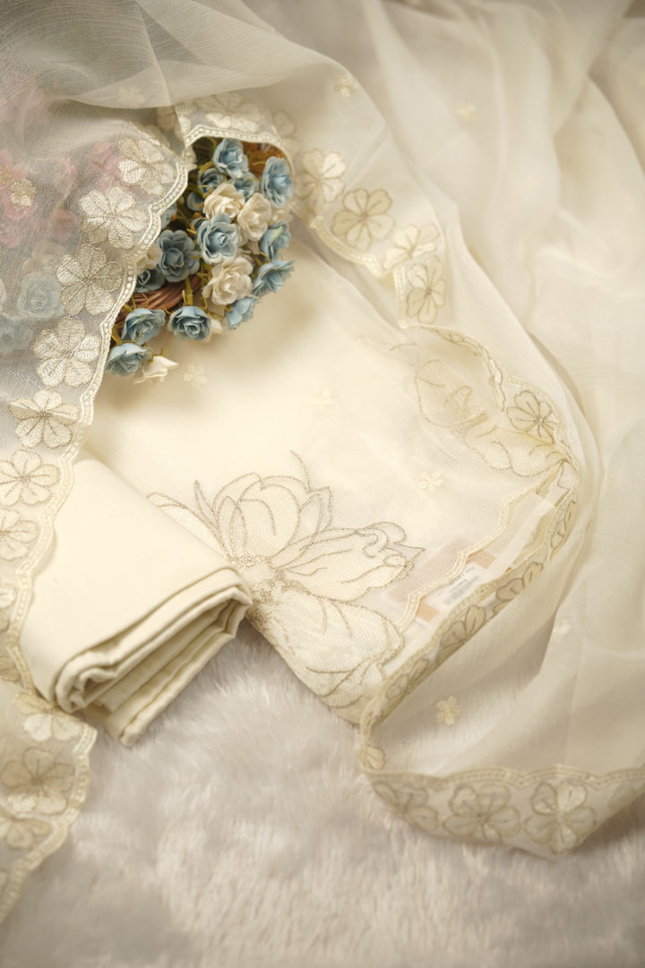 Crushed Organza Salwar TSS01156