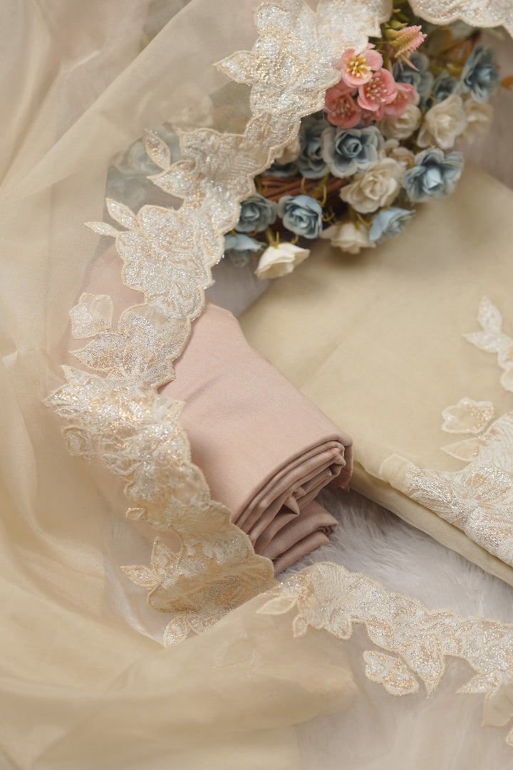 Organza Salwar TSS01455