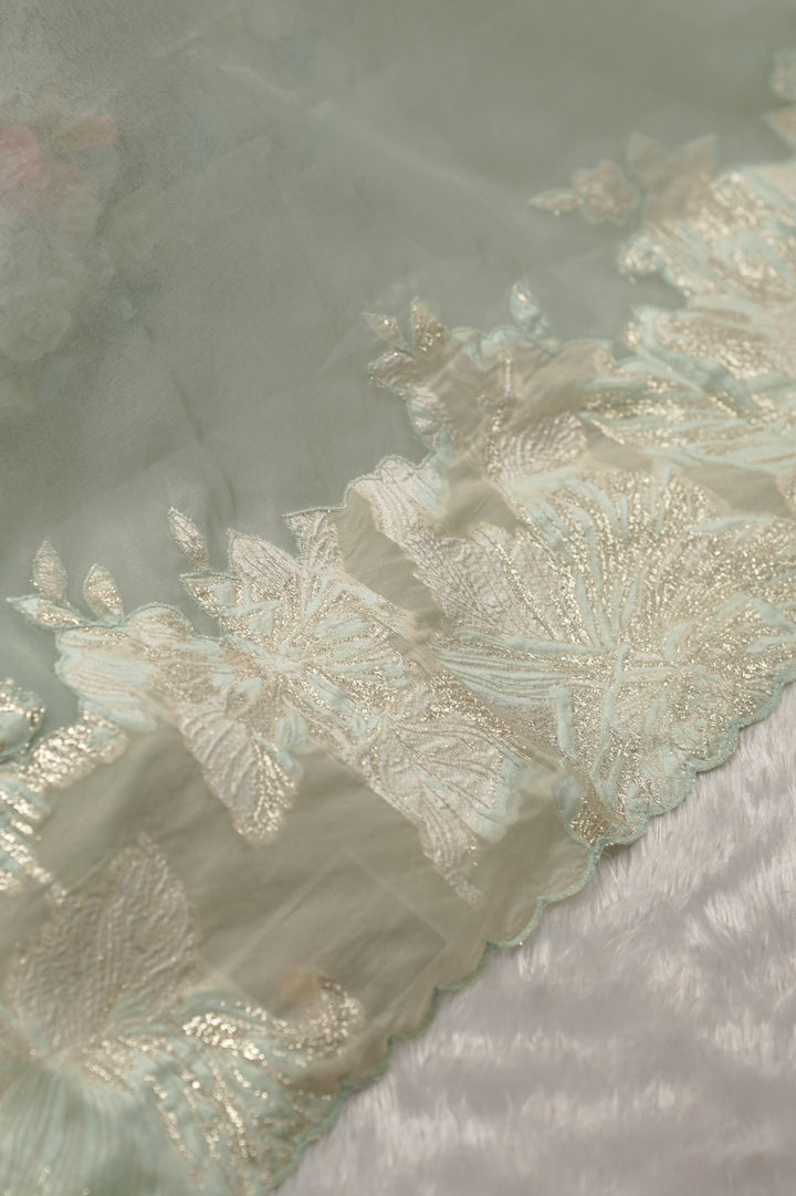 Organza Salwar TSS01454