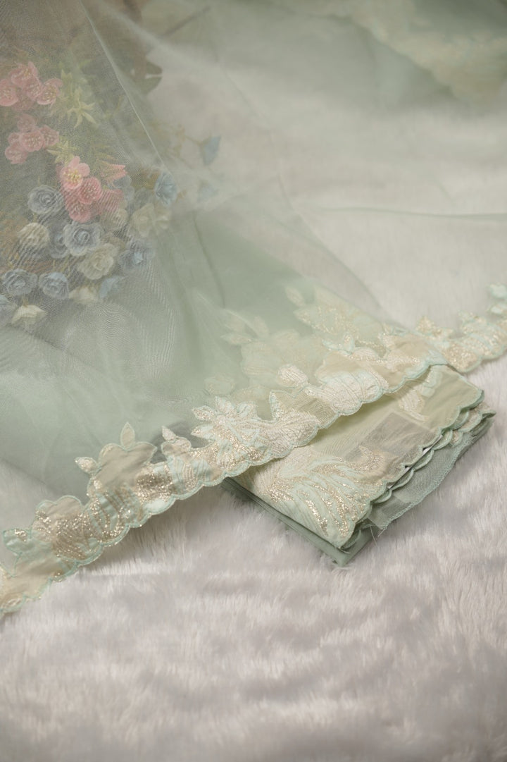Organza Salwar TSS01454