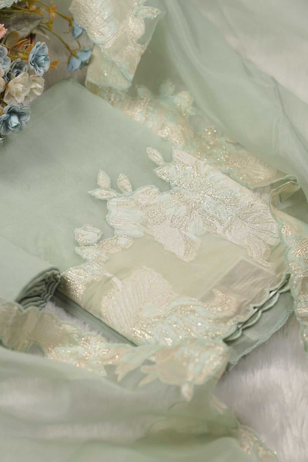 Organza Salwar TSS01454
