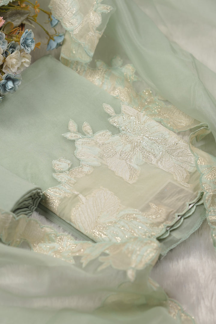 Organza Salwar TSS01454