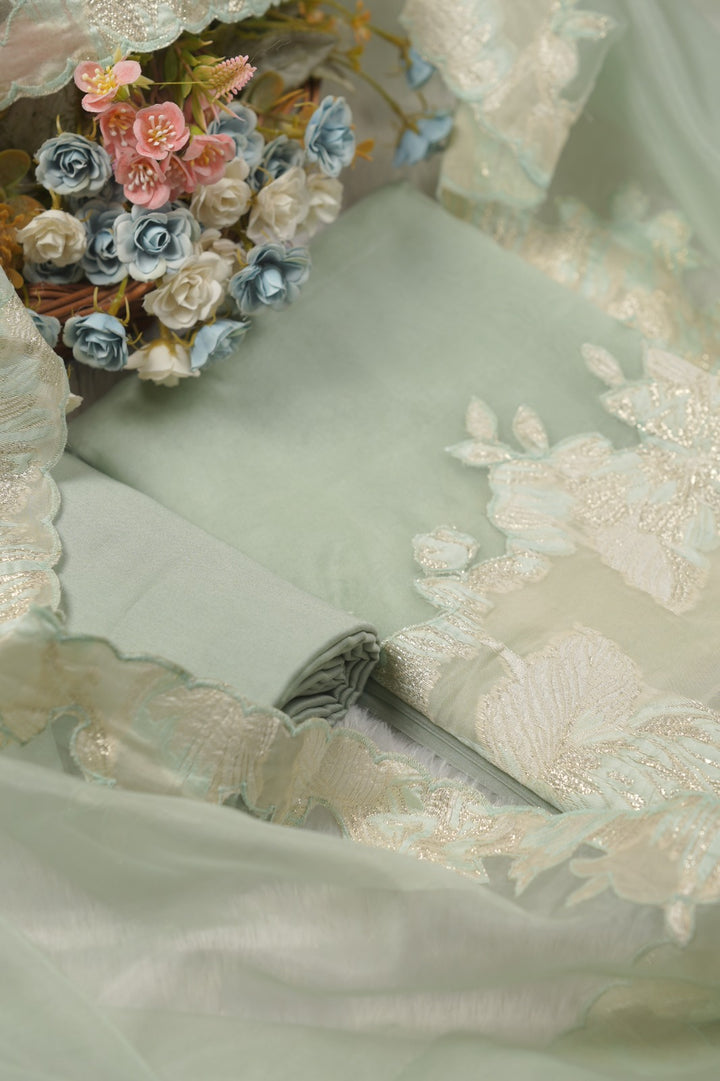 Organza Salwar TSS01454