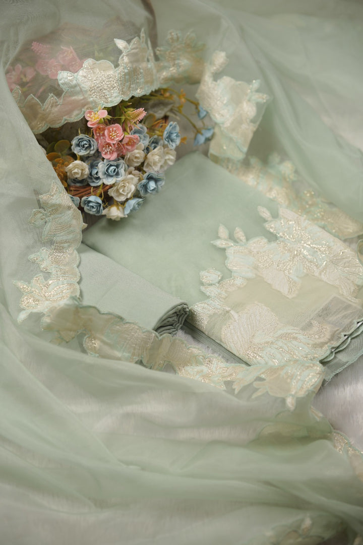 Organza Salwar TSS01454