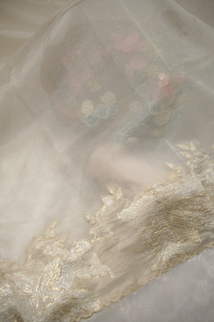 Organza Salwar TSS01453