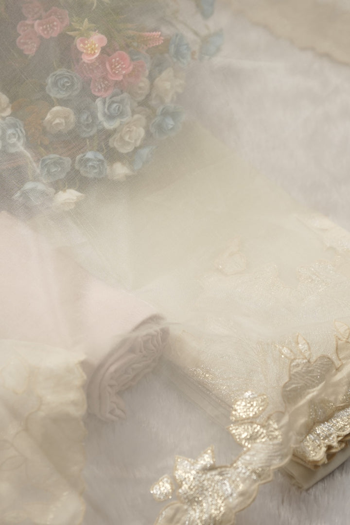 Organza Salwar TSS01453