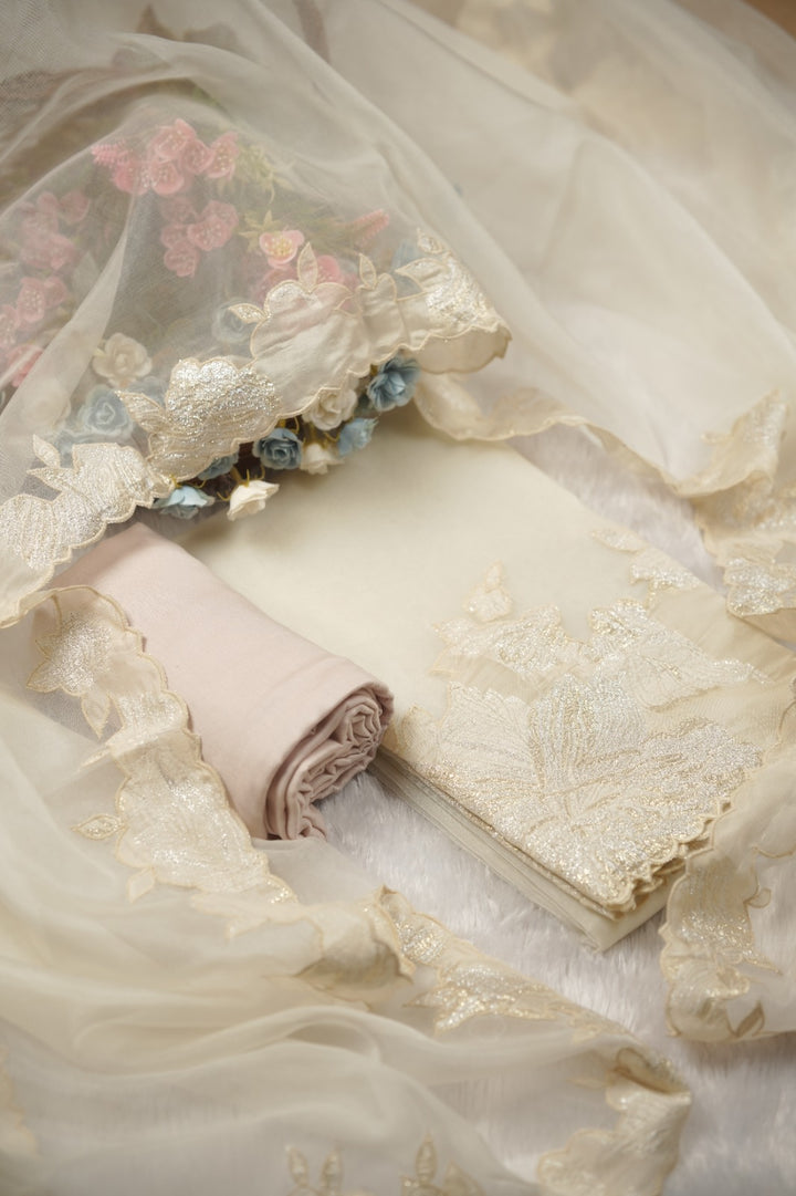 Organza Salwar TSS01453