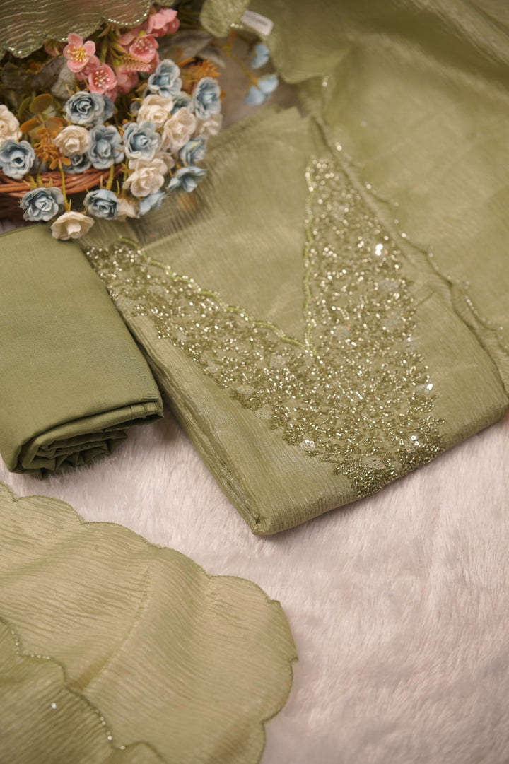 Crushed Organza Salwar TSS01473