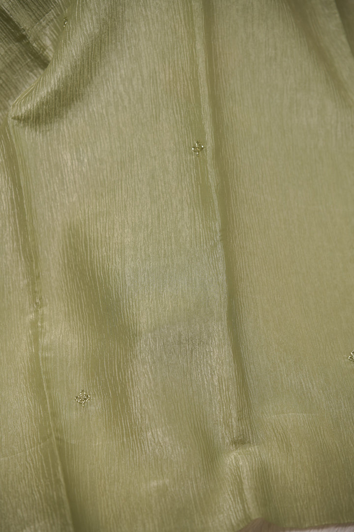 Crushed Organza Salwar TSS01473
