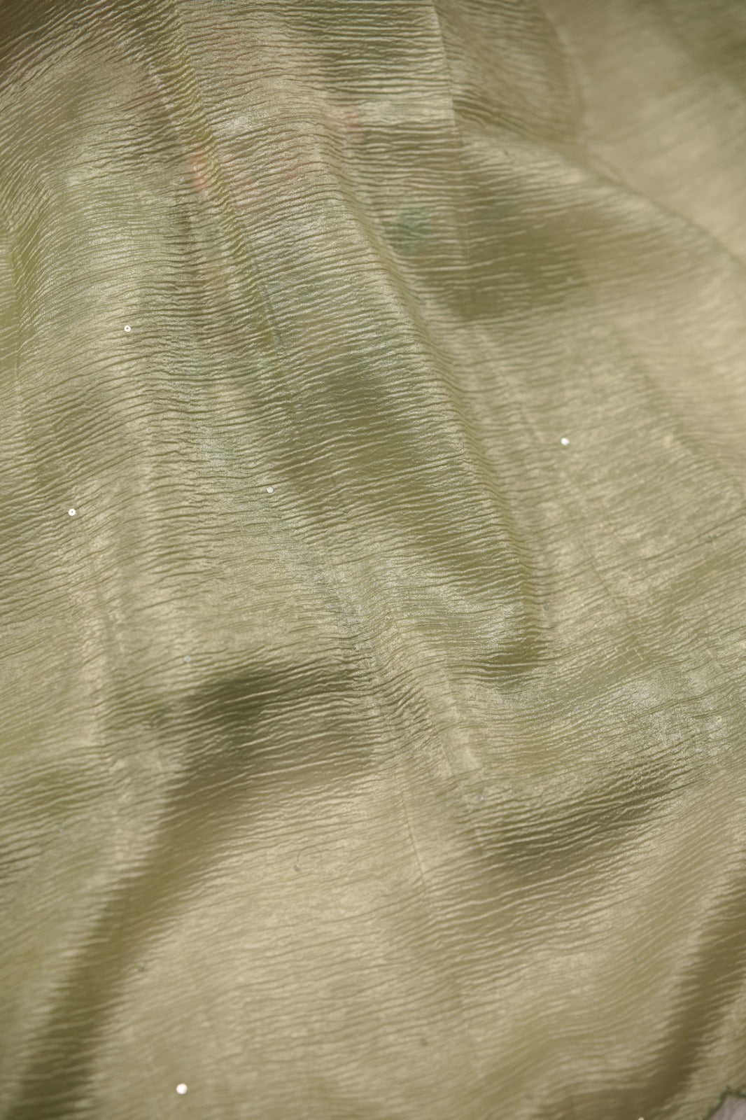 Crushed Organza Salwar TSS01473