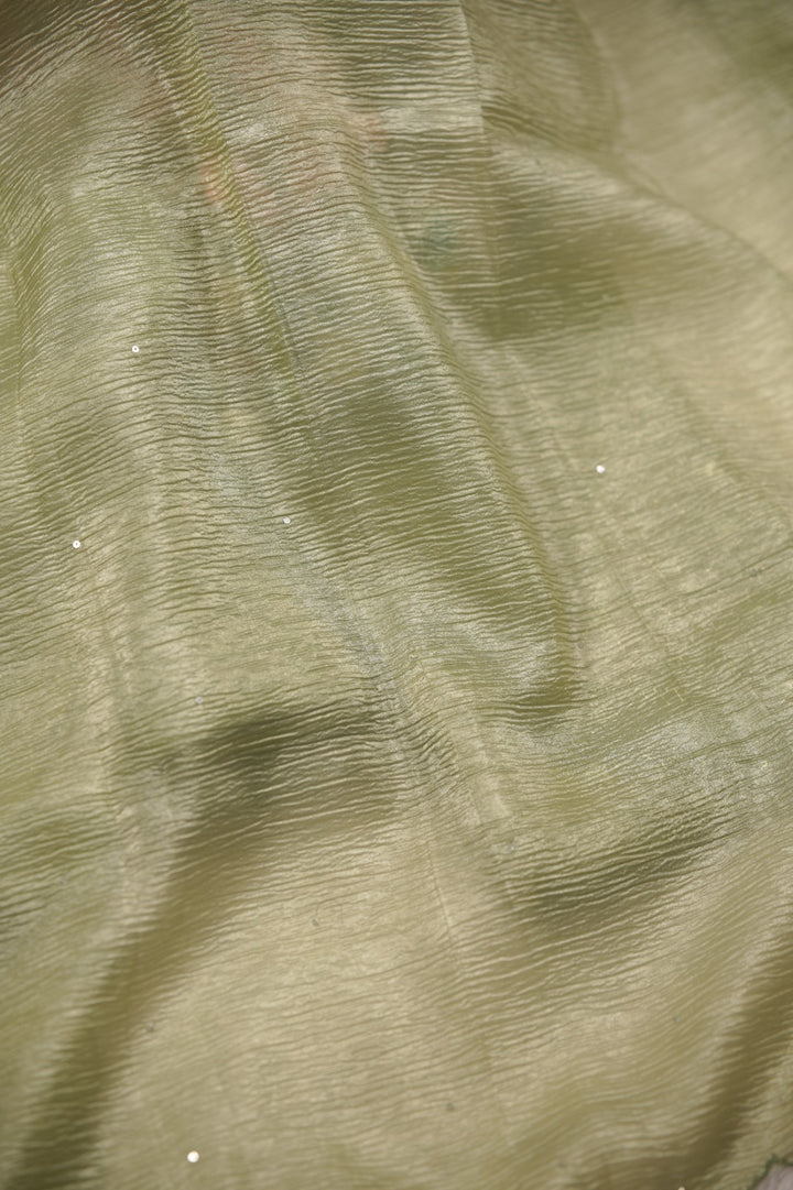 Crushed Organza Salwar TSS01473