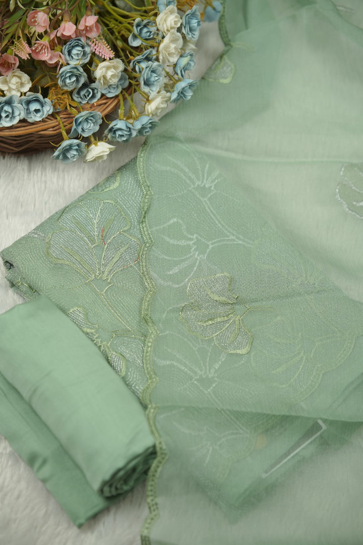 Crushed Organza Salwar TSS01502