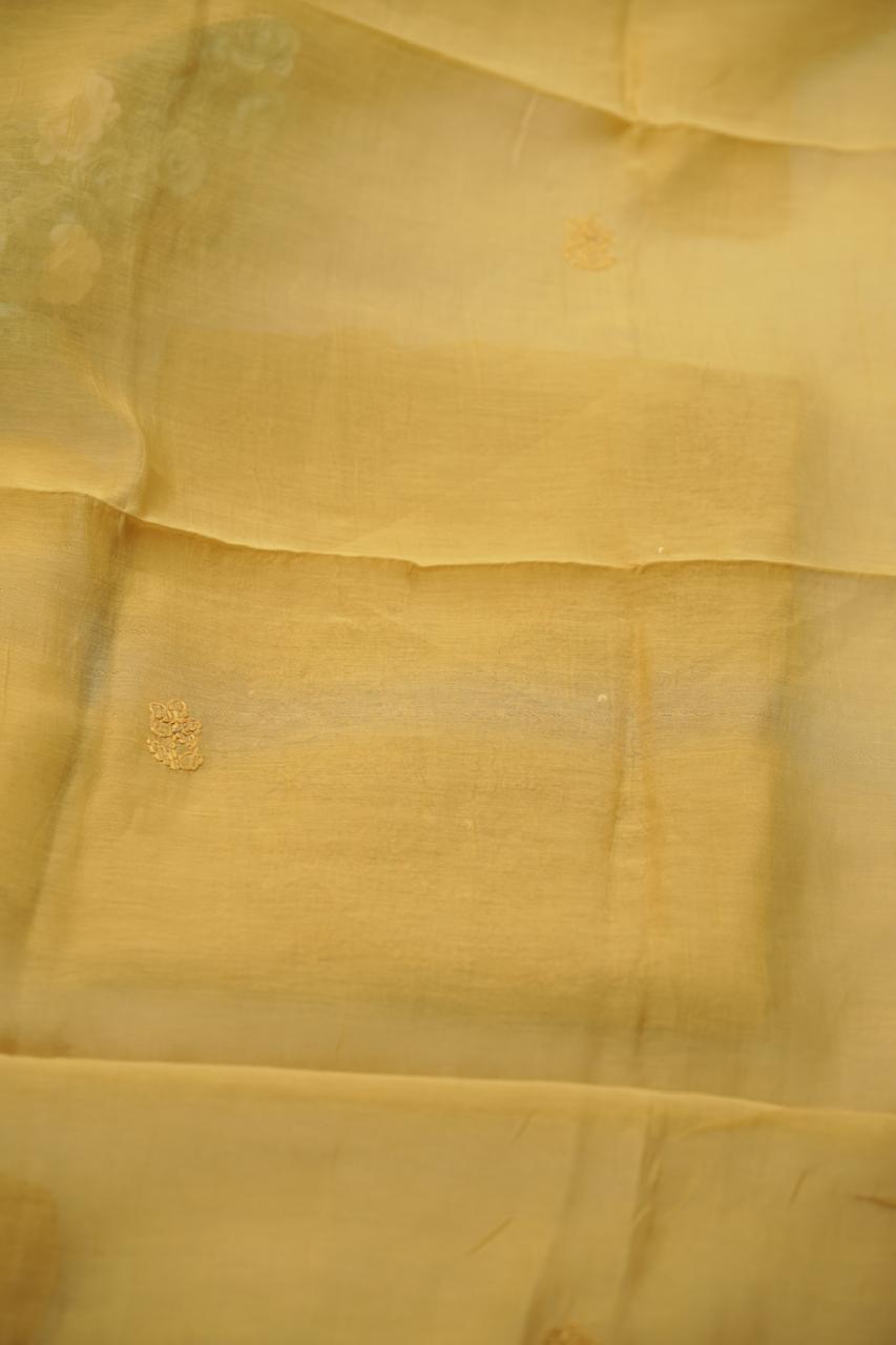 Mul Chanderi Salwar TSS01550