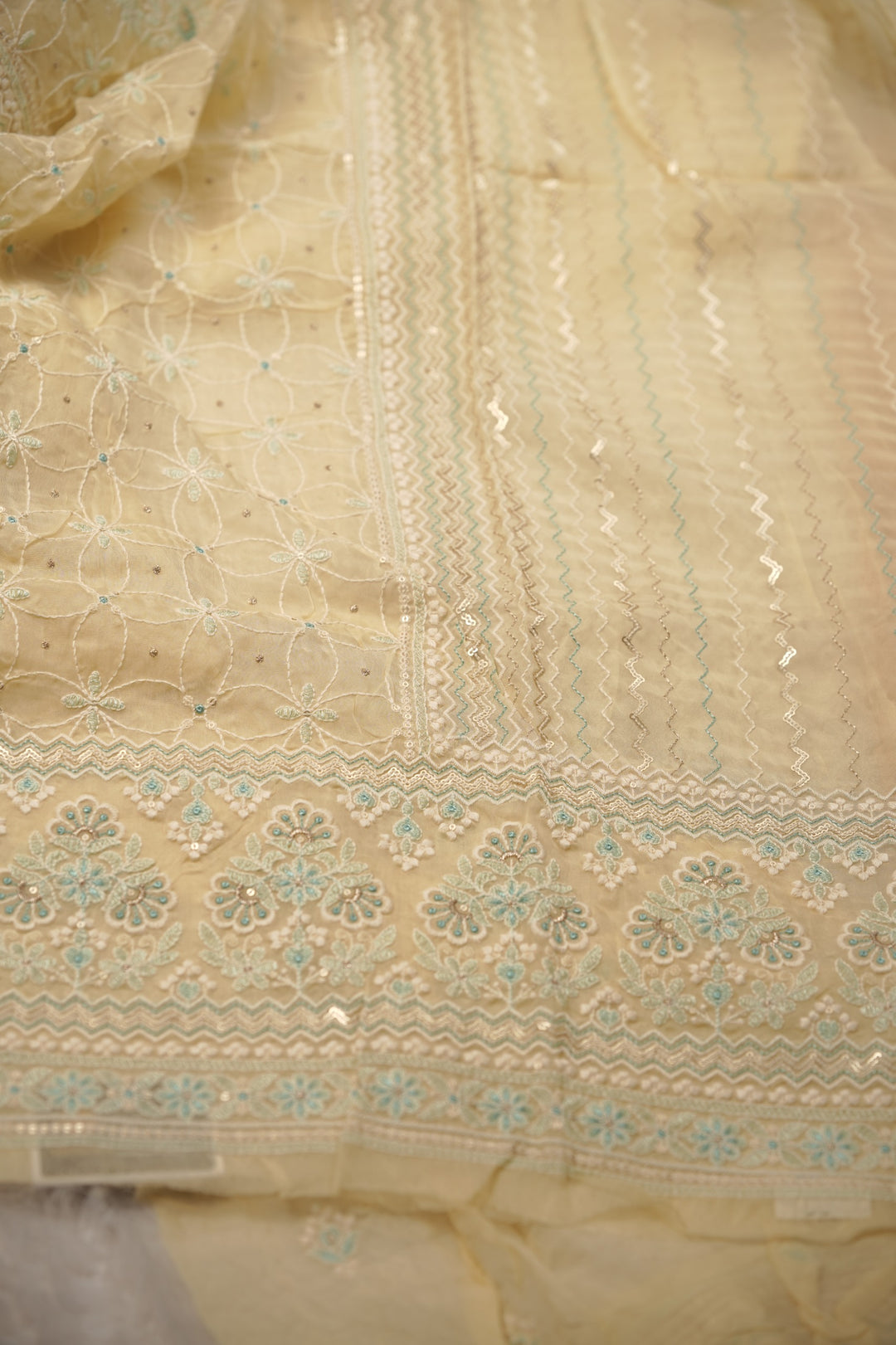 Nylon Organza Salwar TSS01579