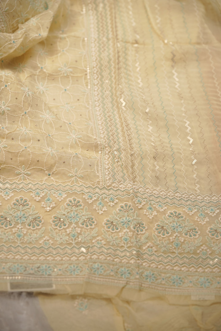 Nylon Organza Salwar TSS01579