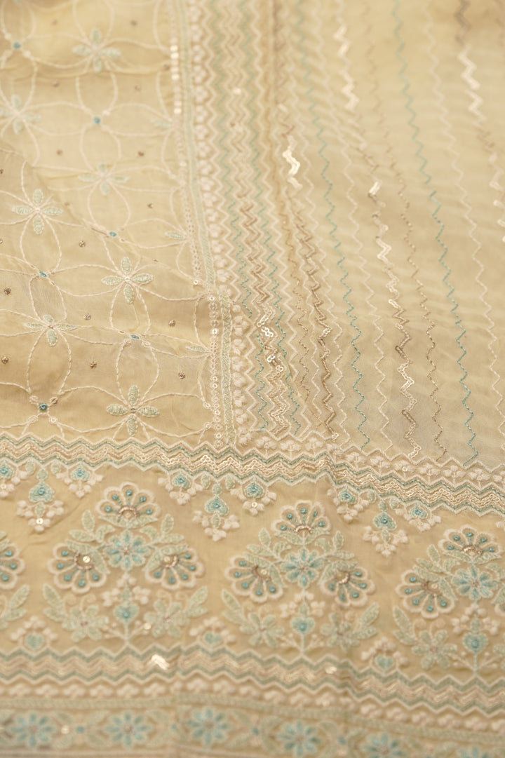 Nylon Organza Salwar TSS01579