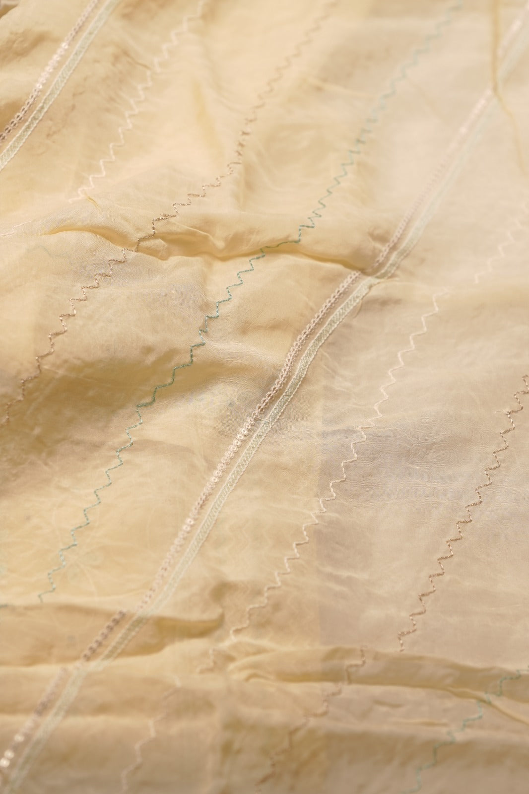 Nylon Organza Salwar TSS01579