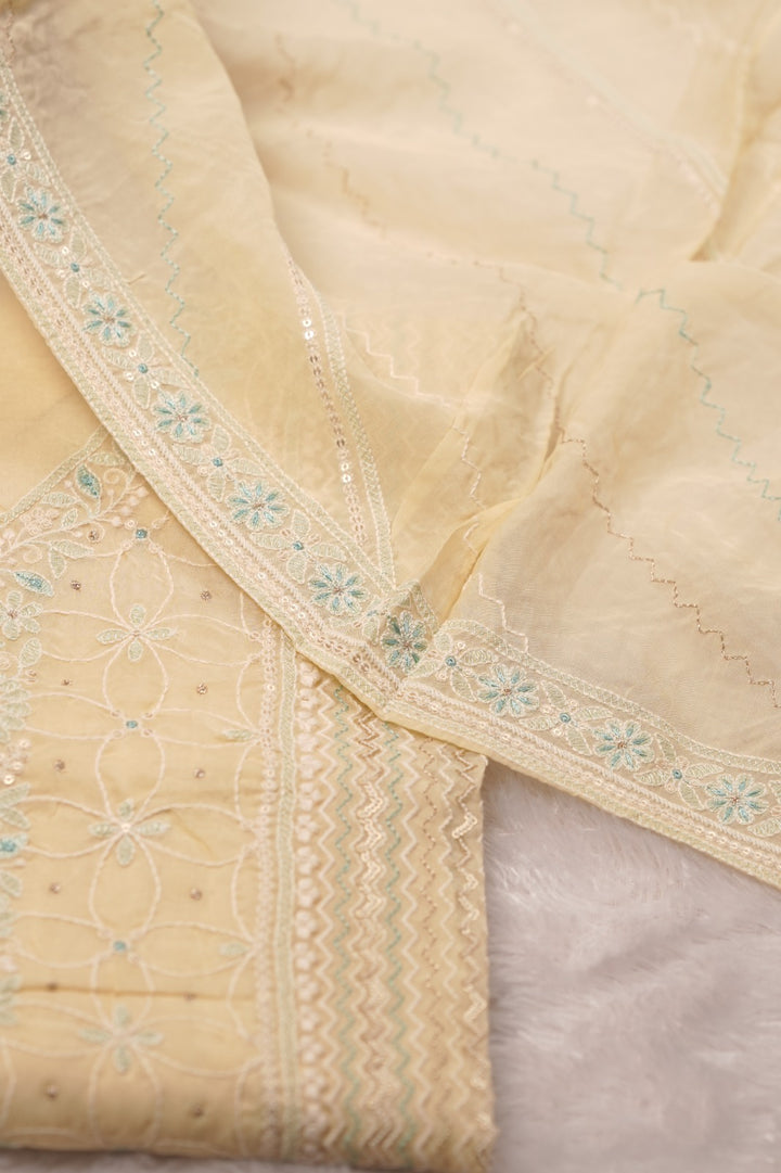 Nylon Organza Salwar TSS01579