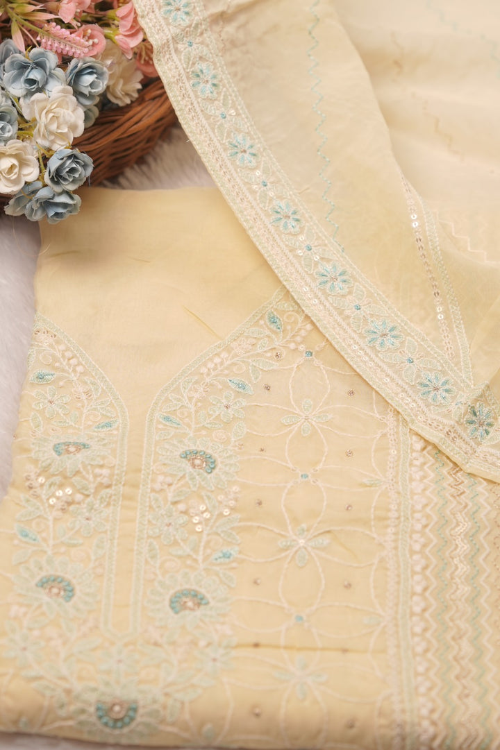 Nylon Organza Salwar TSS01579