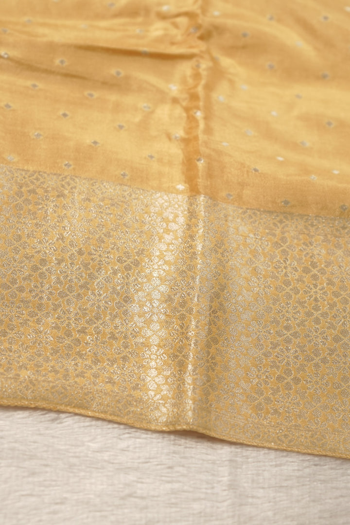 Semi Banarasi Salwar TSS01608