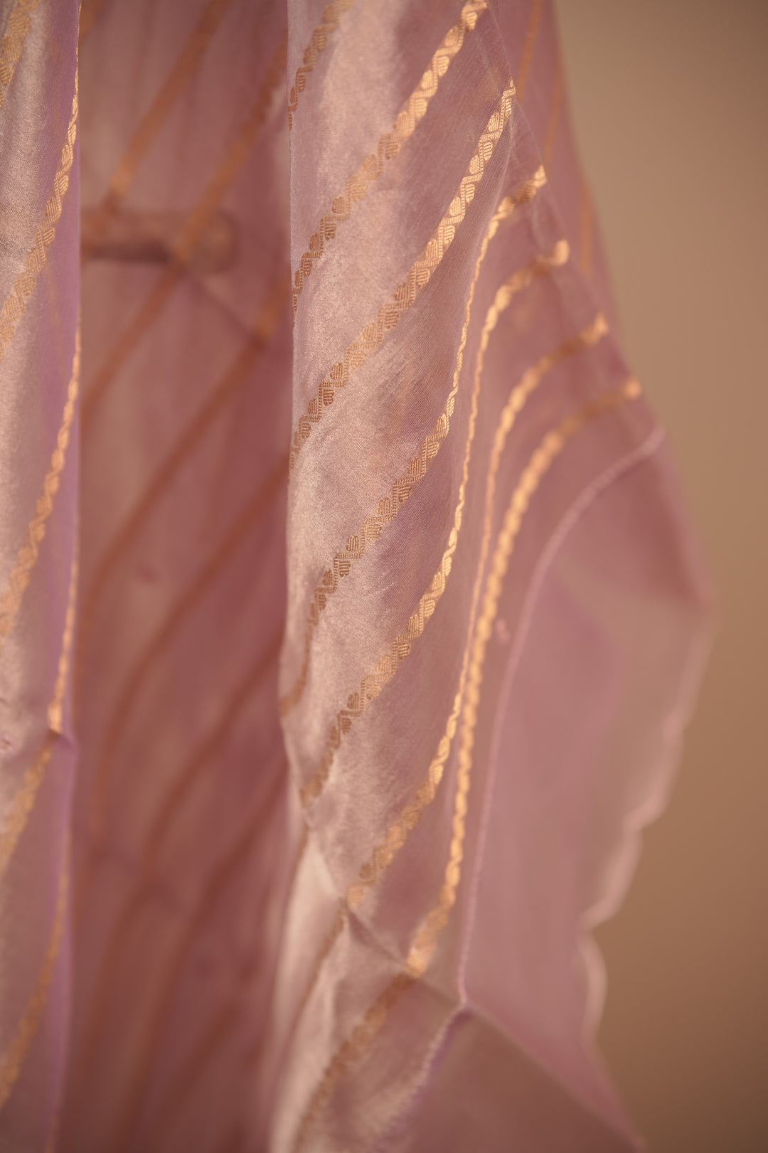 Organza Dupatta TDA01659