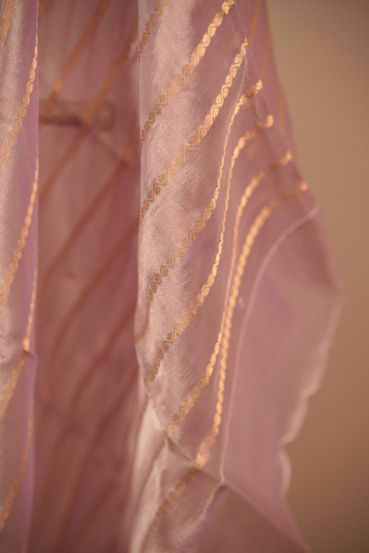 Organza Dupatta TDA01659