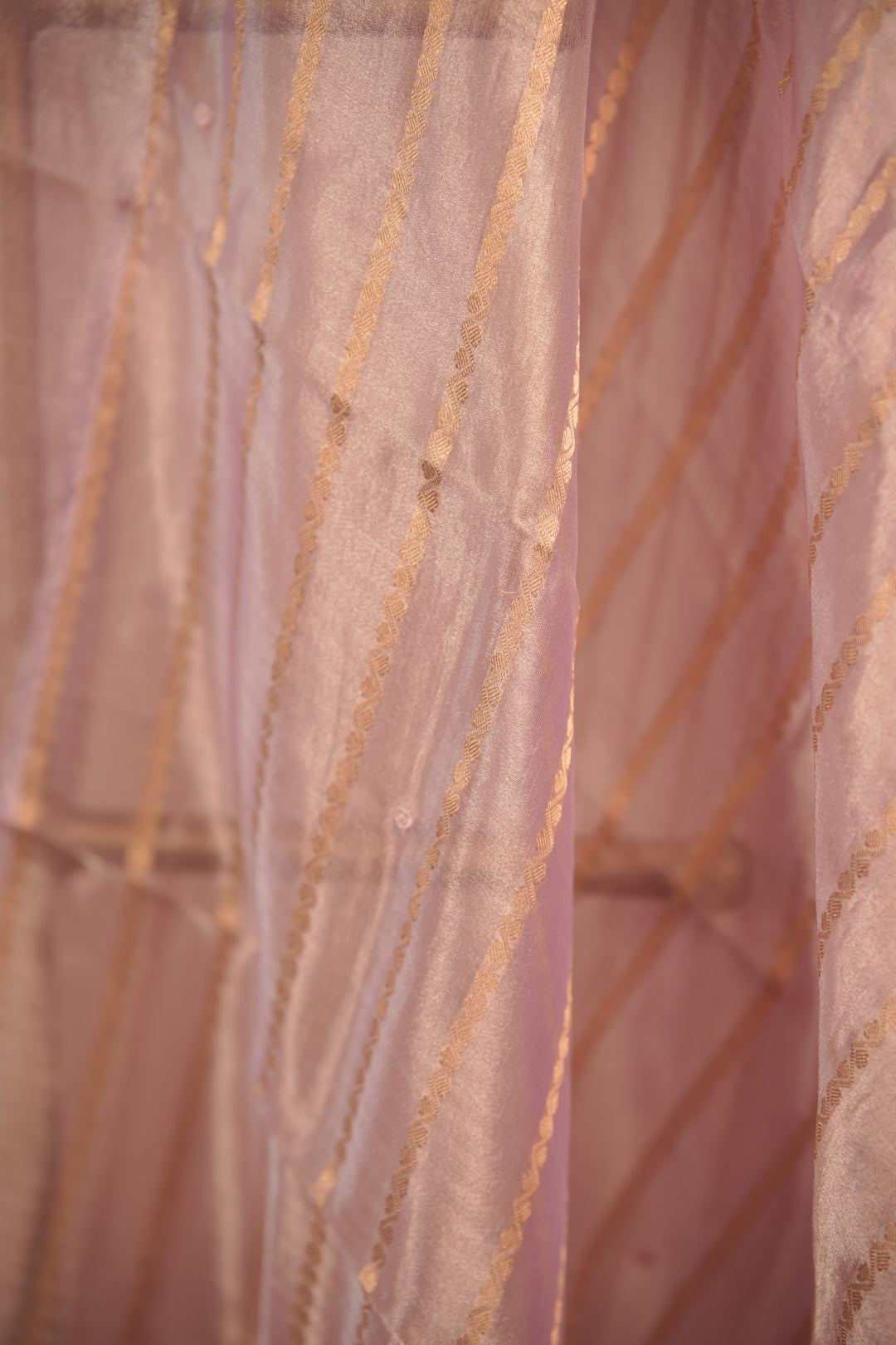 Organza Dupatta TDA01659