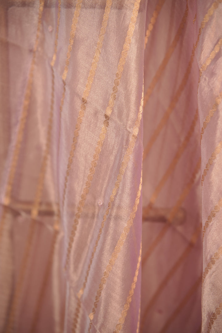 Organza Dupatta TDA01659