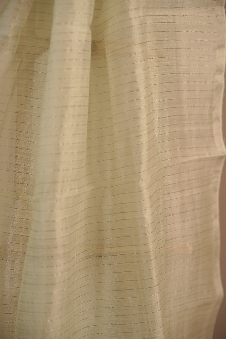 Tussar Organza Dupatta TDA01665