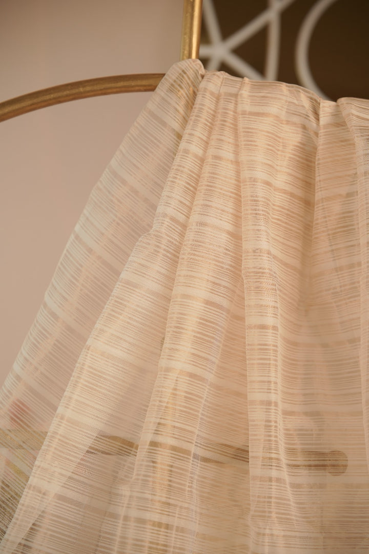 Organza Dupatta TDA01667