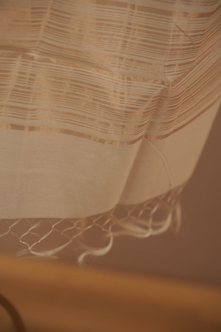 Organza Dupatta TDA01667