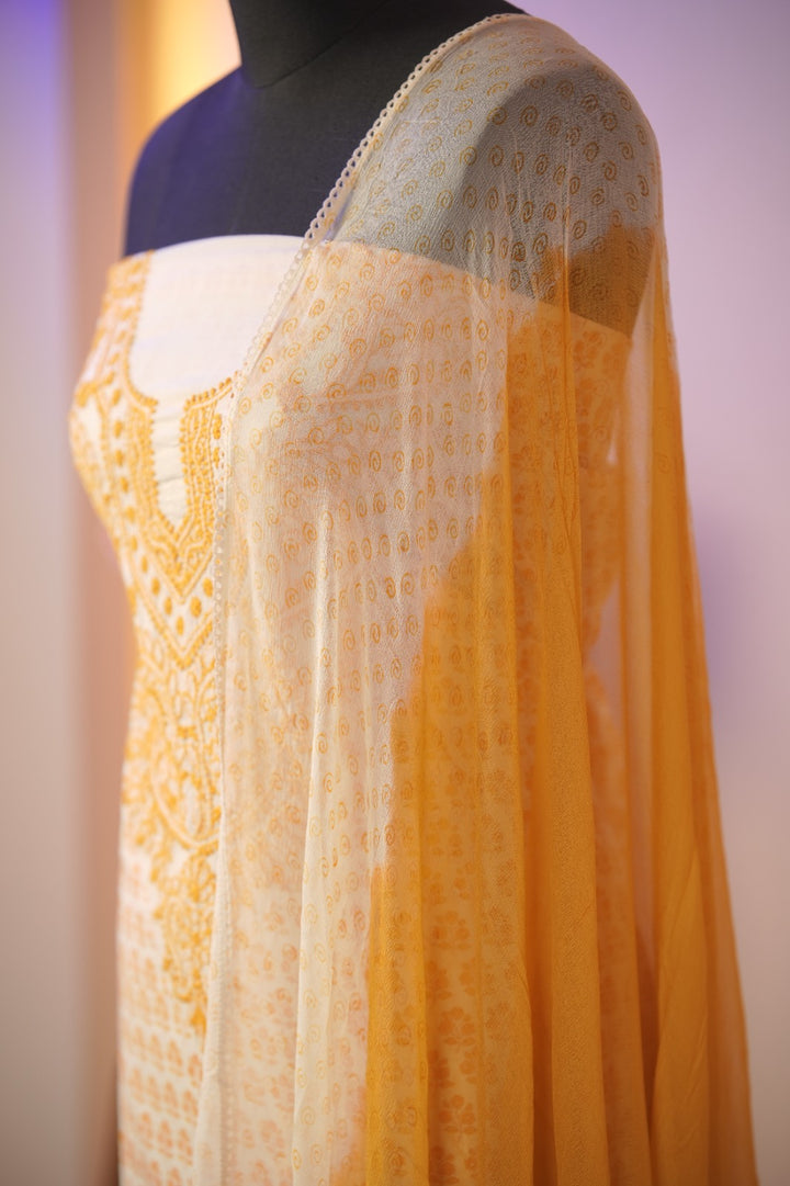 Cotton Salwar TSS01680