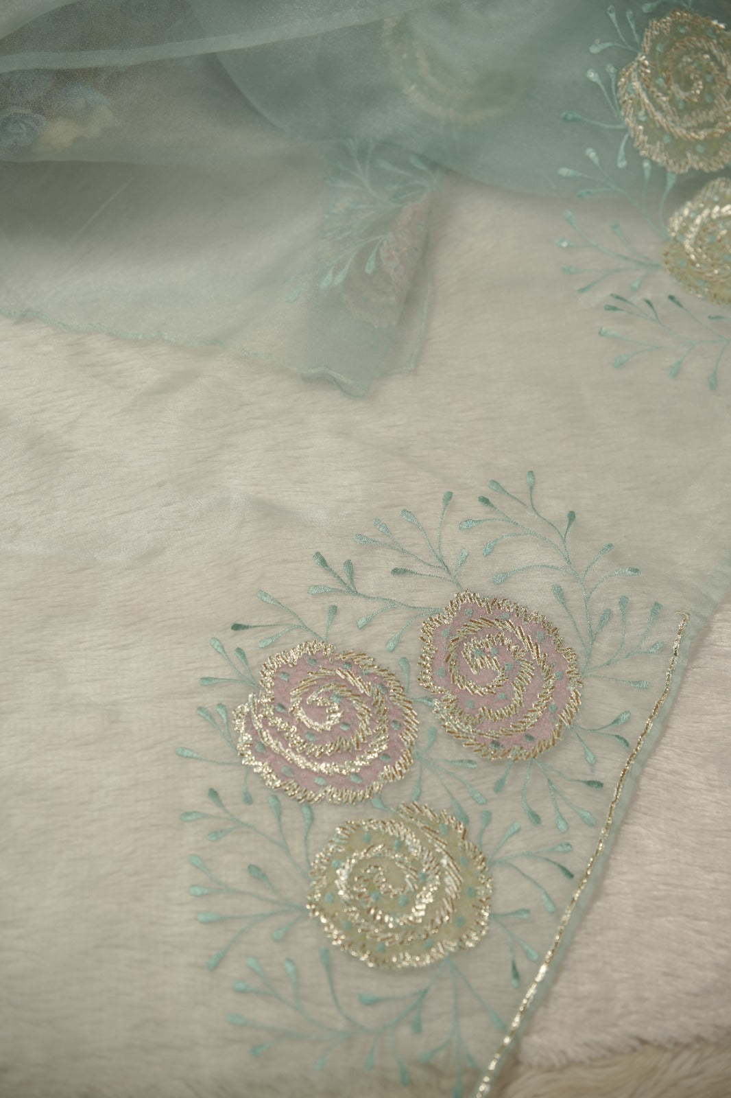 Organza Saree TSA5854