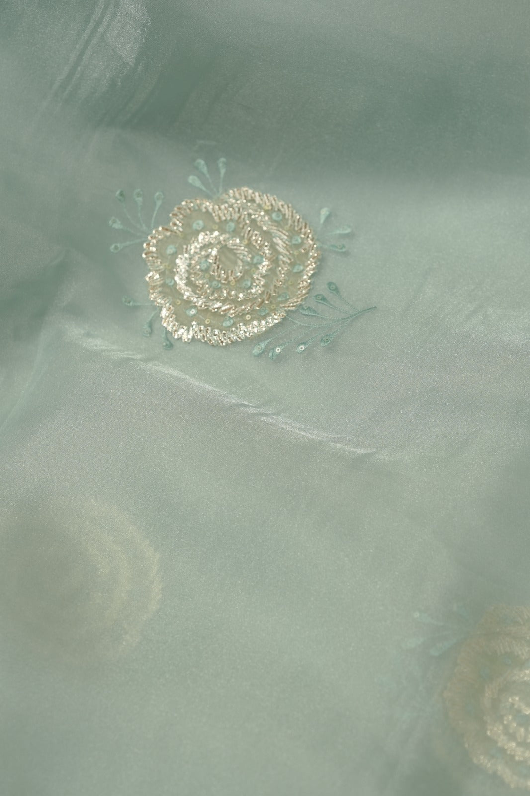 Organza Saree TSA5854