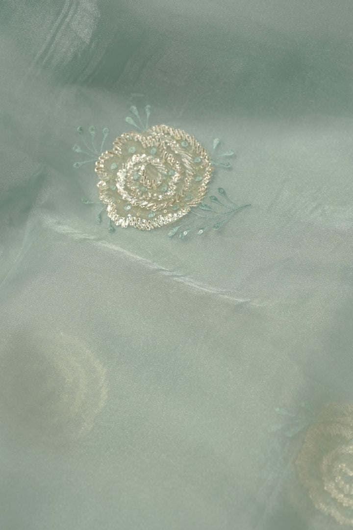 Organza Saree TSA5854
