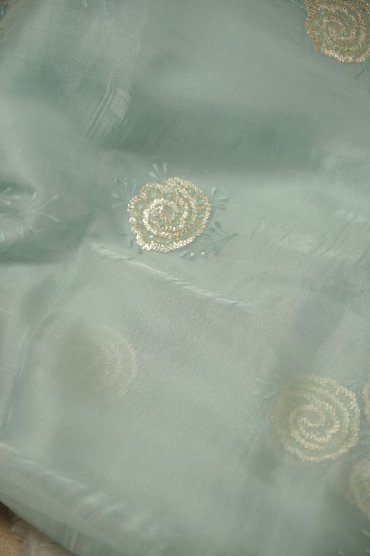 Organza Saree TSA5854
