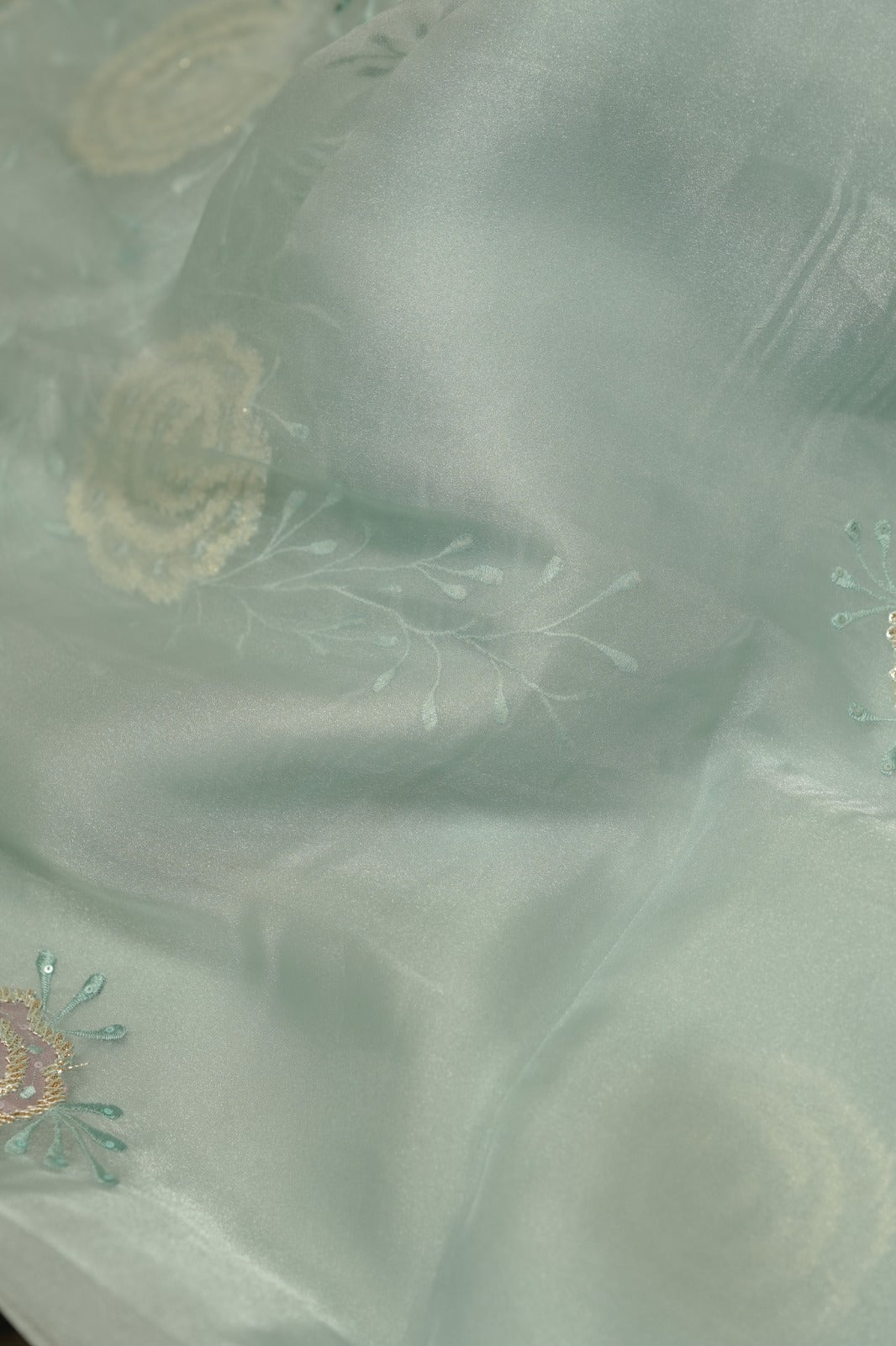 Organza Saree TSA5854