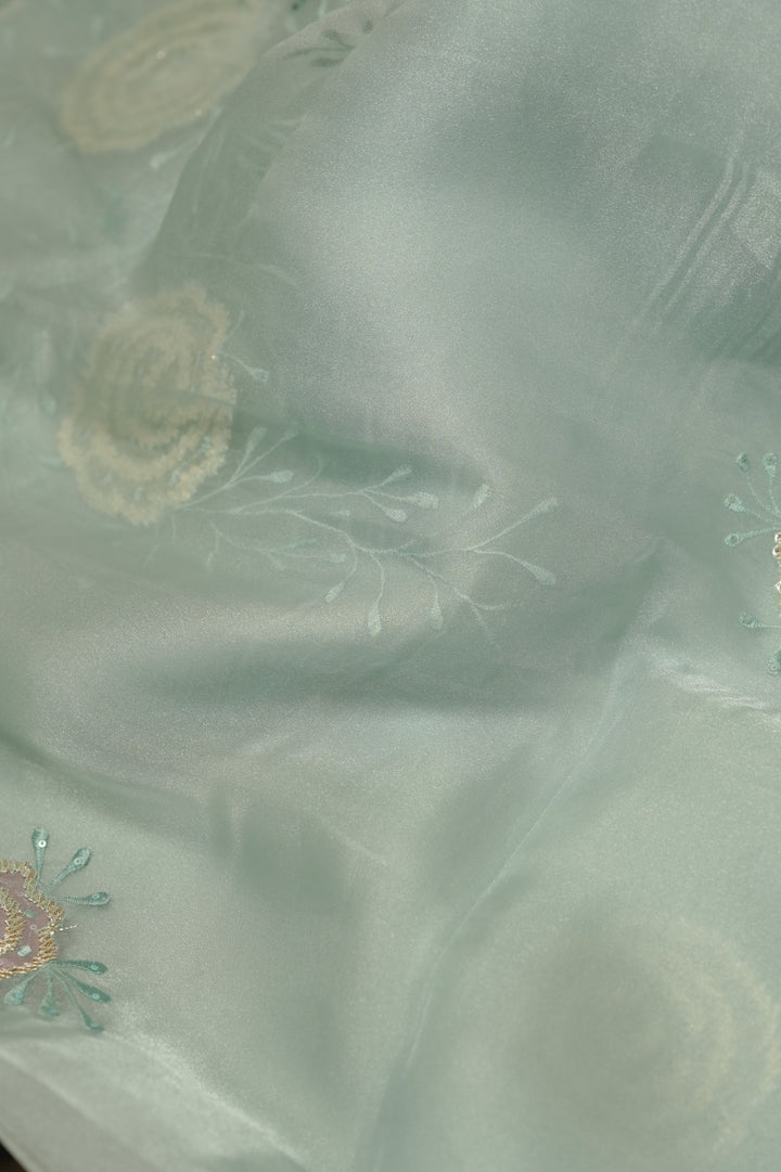 Organza Saree TSA5854