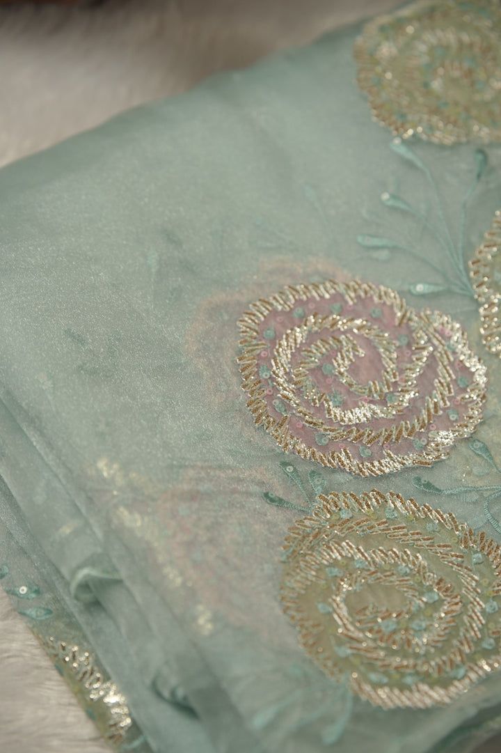 Organza Saree TSA5854