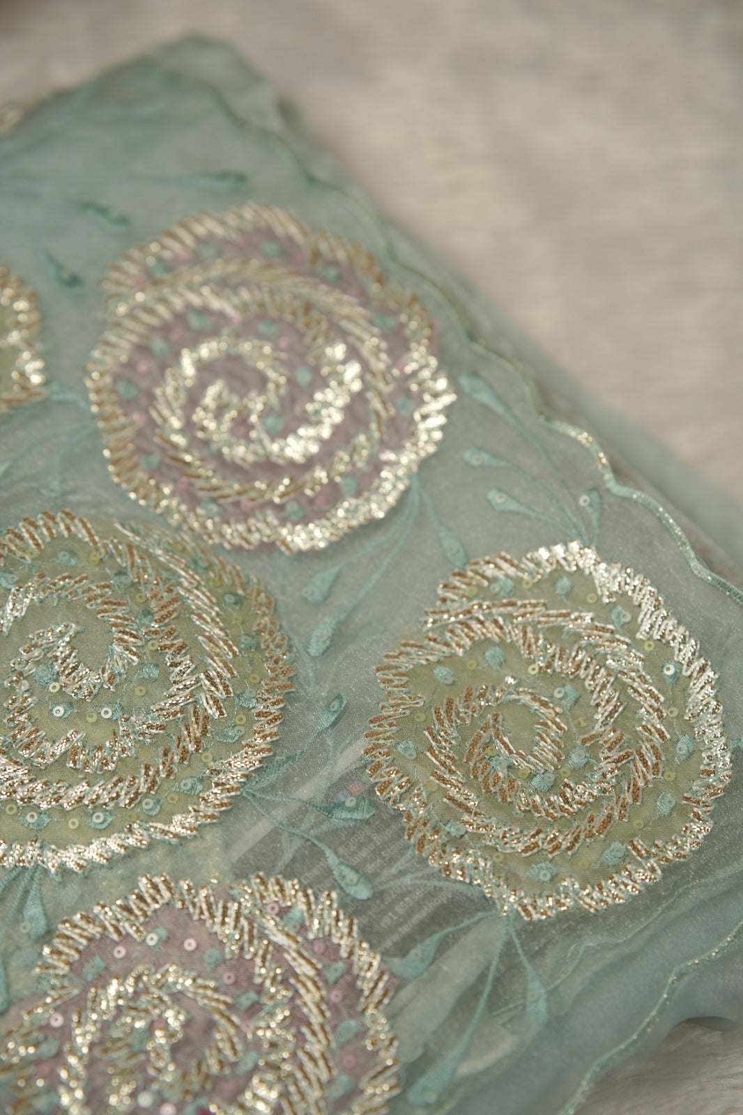 Organza Saree TSA5854