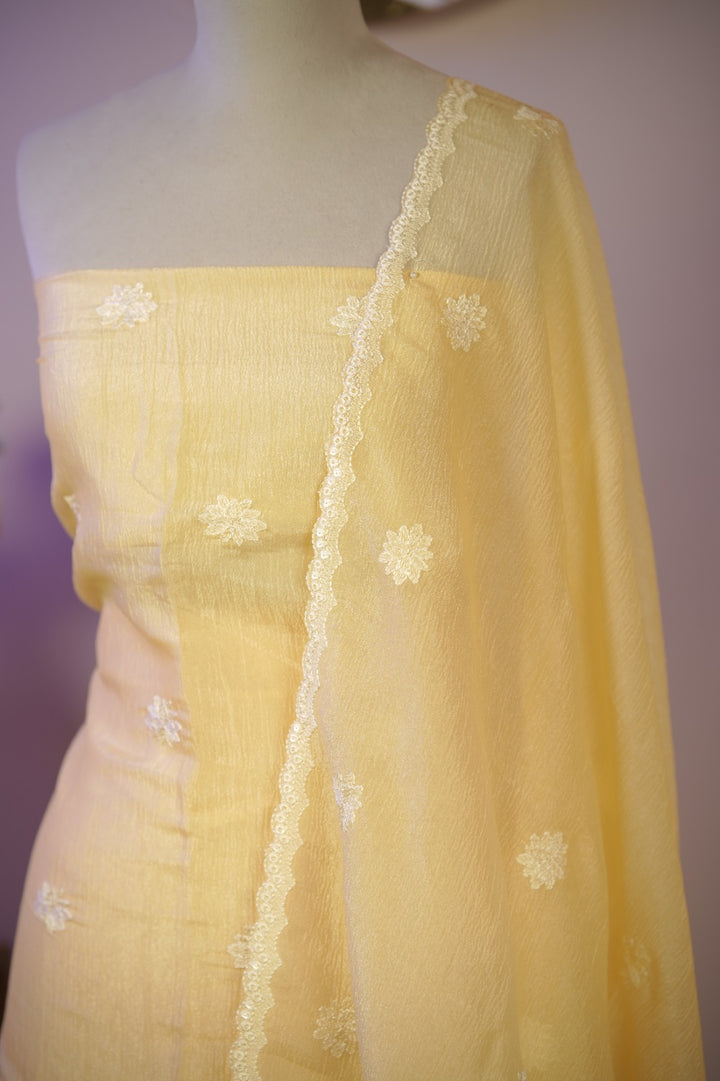 Crushed Orgnaza Salwar TSS01710