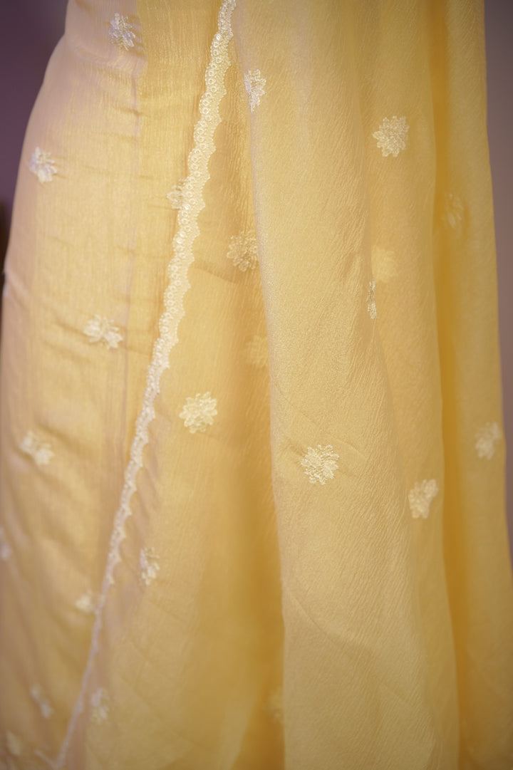 Crushed Orgnaza Salwar TSS01710