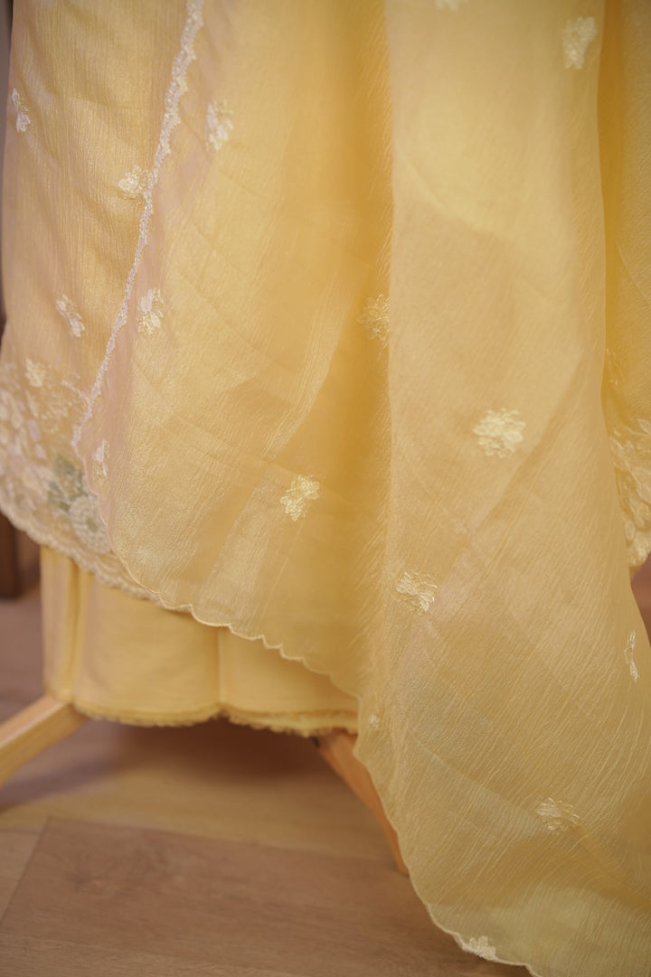Crushed Orgnaza Salwar TSS01710