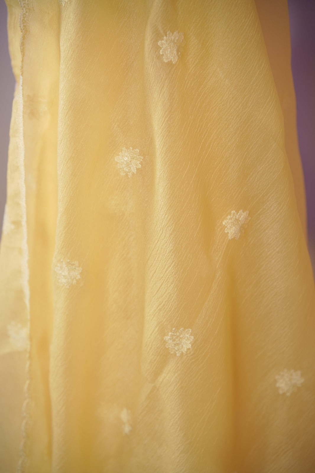 Crushed Orgnaza Salwar TSS01710